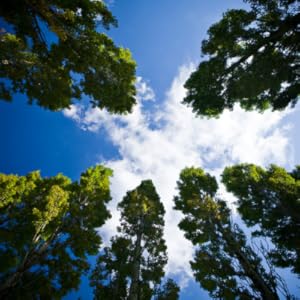 Environnement