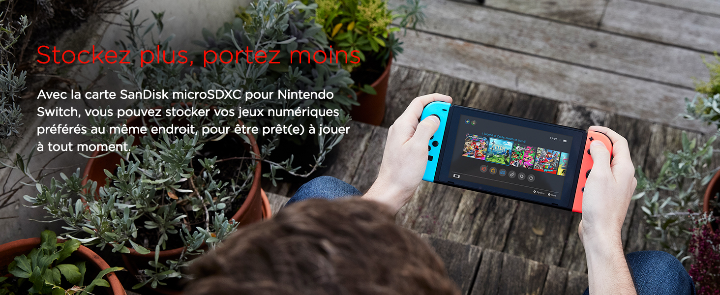 Nintendo Switch, SanDisk microSDXC, SanDisk mSD