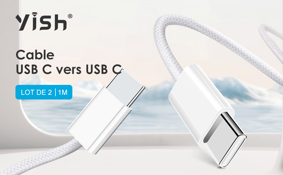 Câble USB C vers USB C